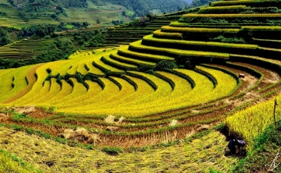 ĐIỆN BIÊN